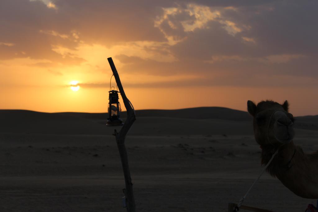 Legend Desert camp Fulayj al Masha'ikh Exterior foto