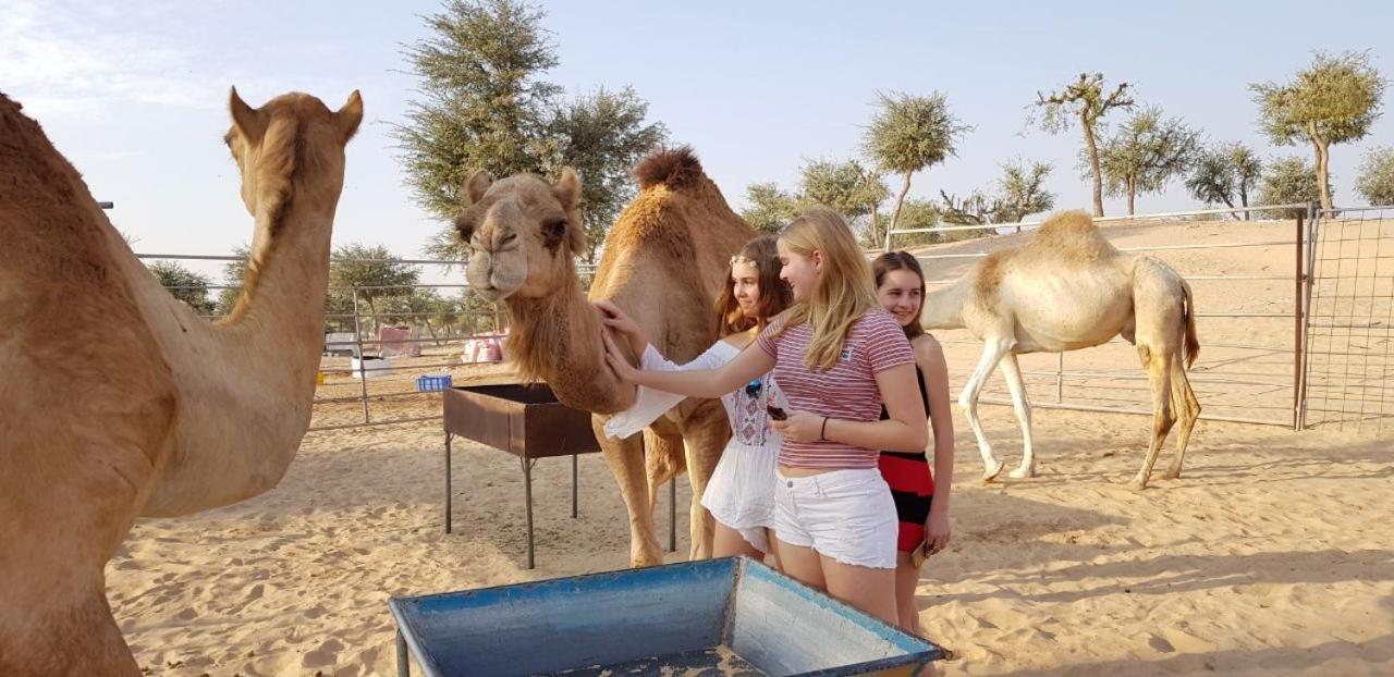 Legend Desert camp Fulayj al Masha'ikh Exterior foto